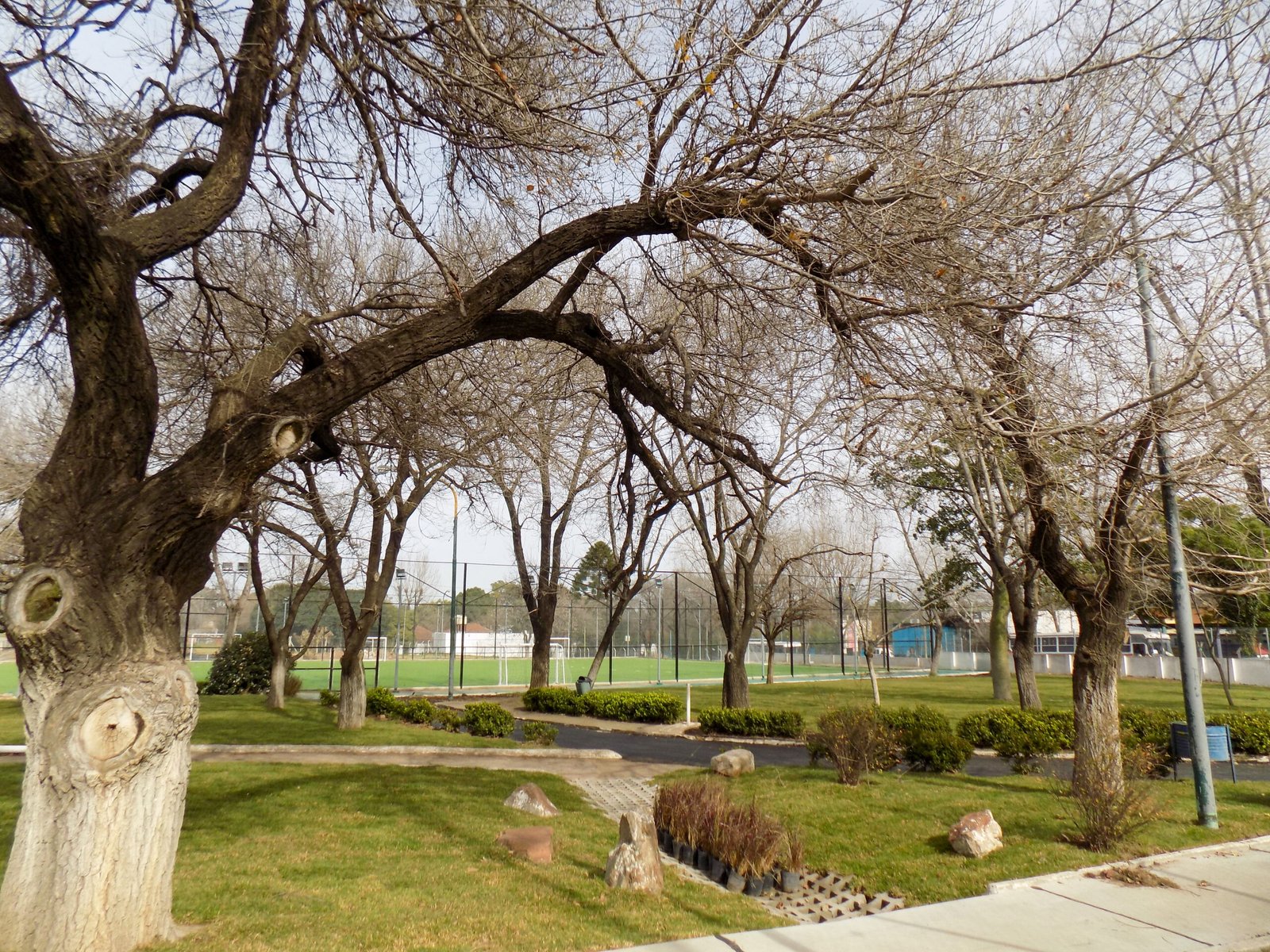 CEMEF San Martín, canchas y playones terminados
