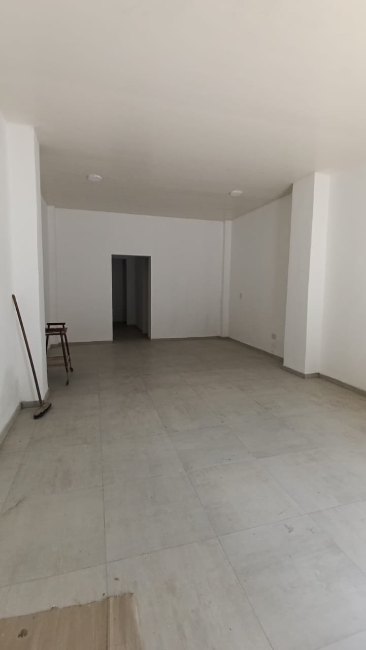Locales comerciales Villa Bosch, local terminado